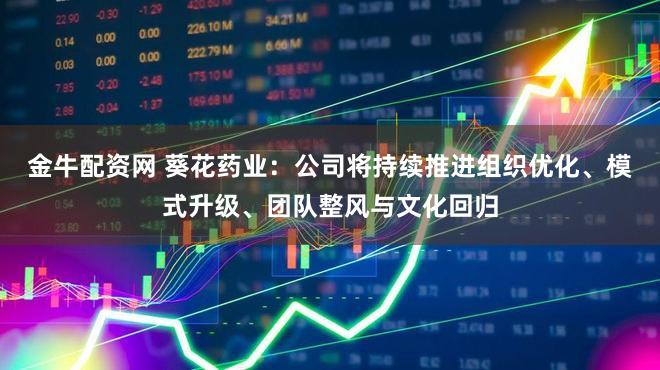金牛配资网 葵花药业：公司将持续推进组织优化、模式升级、团队整风与文化回归