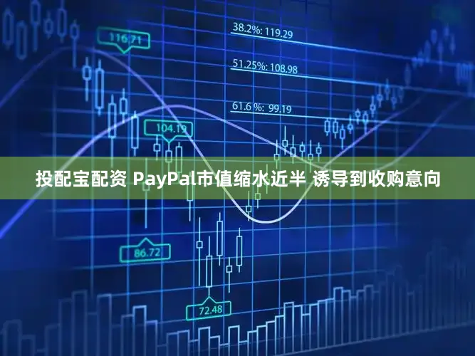 投配宝配资 PayPal市值缩水近半 诱导到收购意向