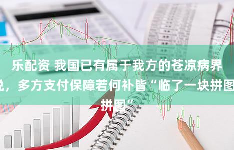 乐配资 我国已有属于我方的苍凉病界说，多方支付保障若何补皆“临了一块拼图”