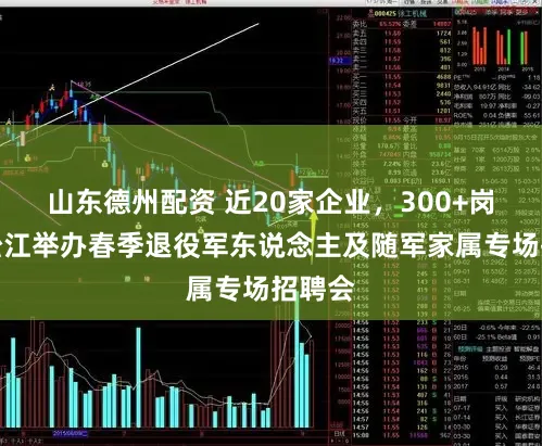 山东德州配资 近20家企业，300+岗亭！松江举办春季退役军东说念主及随军家属专场招聘会