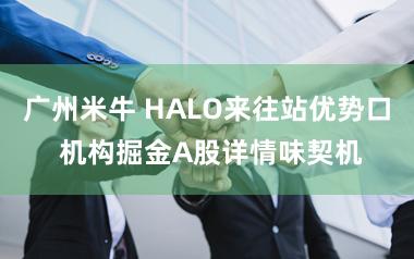 广州米牛 HALO来往站优势口 机构掘金A股详情味契机
