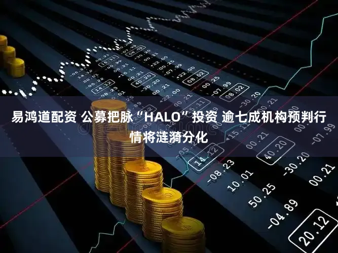 易鸿道配资 公募把脉“HALO”投资 逾七成机构预判行情将涟漪分化