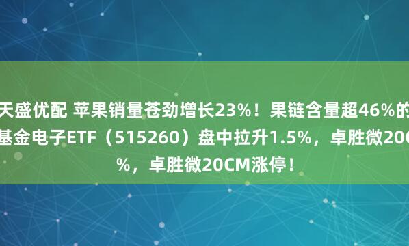 天盛优配 苹果销量苍劲增长23%！果链含量超46%的——华宝基金电子ETF（515260）盘中拉升1.5%，卓胜微20CM涨停！