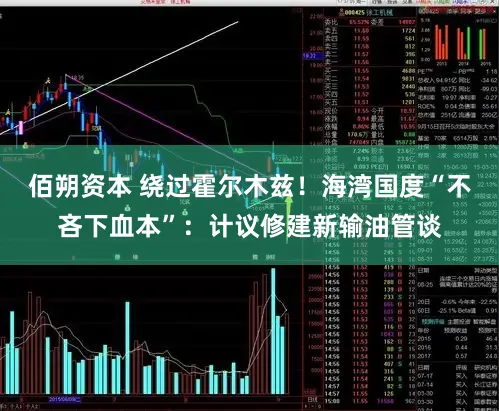 佰朔资本 绕过霍尔木兹！海湾国度“不吝下血本”：计议修建新输油管谈