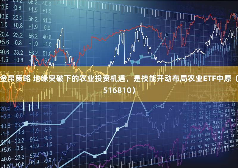 金帛策略 地缘突破下的农业投资机遇，是技能开动布局农业ETF中原（516810）