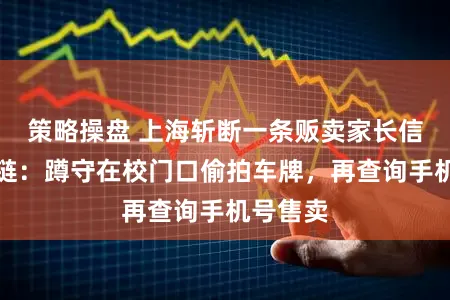 策略操盘 上海斩断一条贩卖家长信息产业链：蹲守在校门口偷拍车牌，再查询手机号售卖