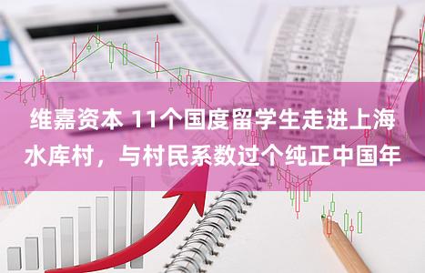 维嘉资本 11个国度留学生走进上海水库村,与村民系数过个纯正中国年